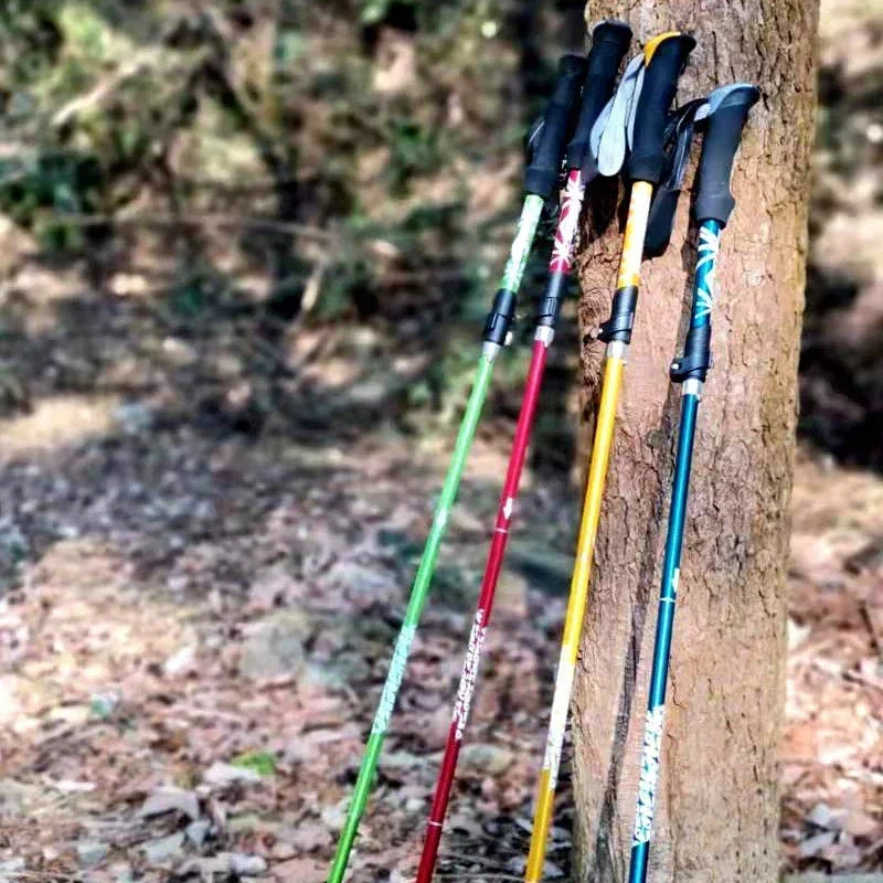 Bâton de randonnée télescopique ultraléger, pliable pour marche nordique